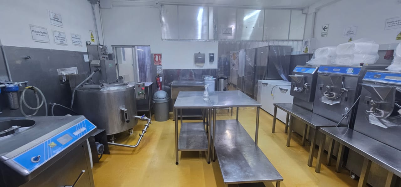 Planta ordenada Baccio